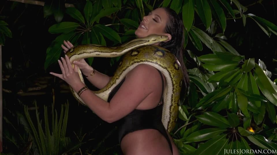 960px x 540px - Angela White playing with a big snake - PornDig.com